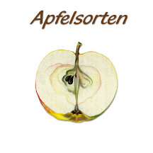 Äpfel