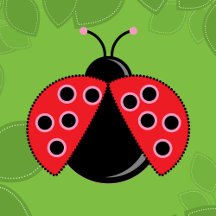 Ladybug