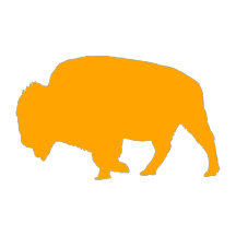 North Dakota Bison