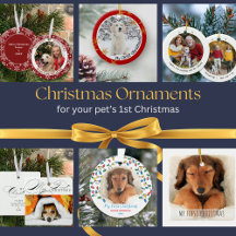 First Christmas with Puppy Dog or Pet