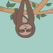 Cute Sloth Design
