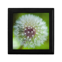 Wooden Jewellery and keepsake boxes