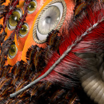 cglightNing: Halloween