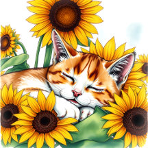 Cats and Sunflowers Cards, Gifts & Décor 
