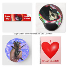 Sugar Gliders for Home Office and Gifts