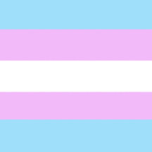 Trans/nonbinary pride pins