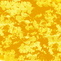 Pillows and Pillow Cover