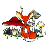 Little Fox
