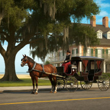 #5 The Vintage Beaufort South Carolina Series