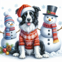 Border Collie Cards and Gifts