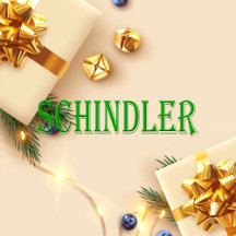 Schindler Name T-Shirt