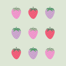 Foodie and Fruit   Travel and Accessories