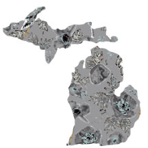 Michigan Gray Watercolor Poppies State