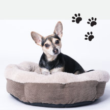 Pet Beds