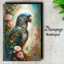 Bird Dreams Decoupage Tissue Paper Collection