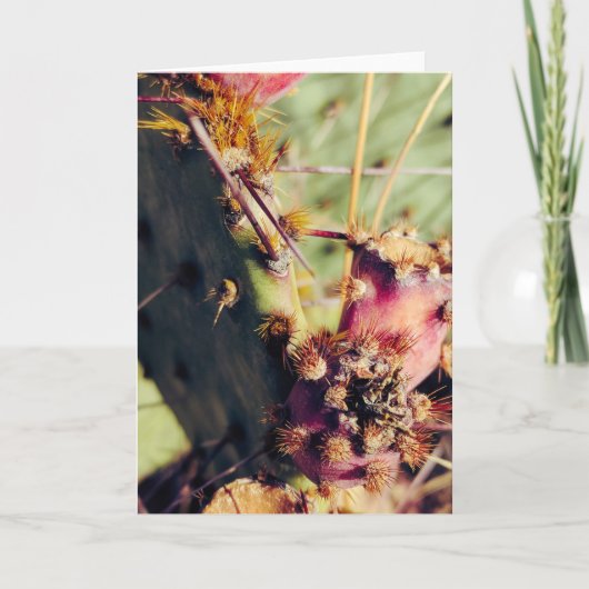 SW質感のタイトル枠 カード (正面)