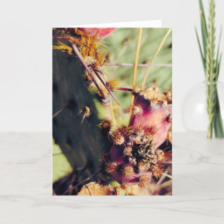 SW質感のタイトル枠 カード