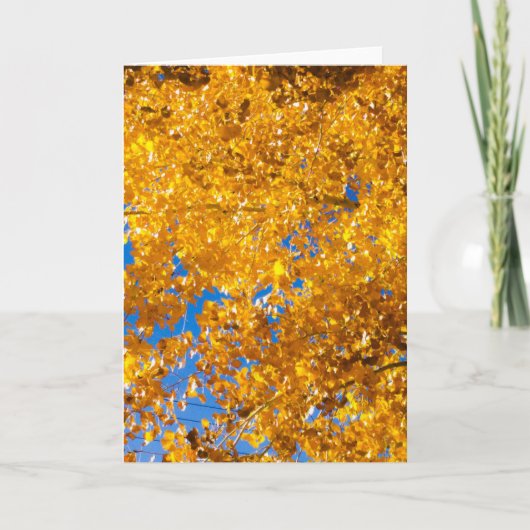 SW質感#4 カード (正面)