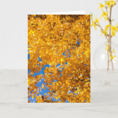 SW質感#4 カード (黄色い花)