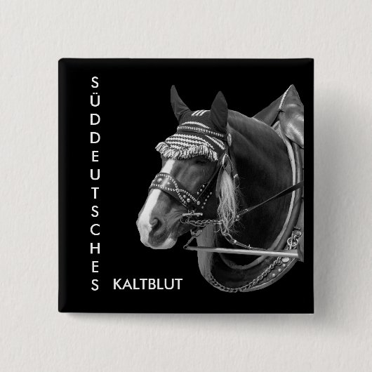sw3526, SÜDDEUTSCHES, KALTBLUT 缶バッジ (正面)