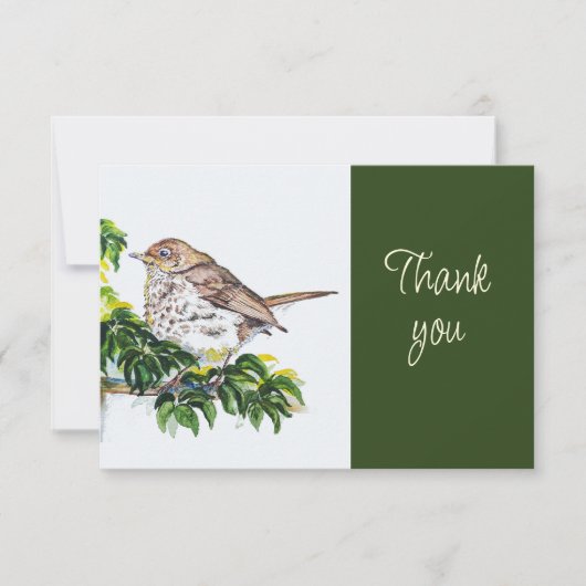 Swainson's Thrush Bird Nature WatercolorThank you サンキューカード (正面)