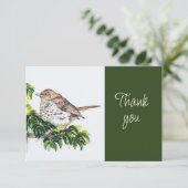 Swainson's Thrush Bird Nature WatercolorThank you サンキューカード (スタンド正面)