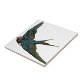 Swallow タイル (側面)