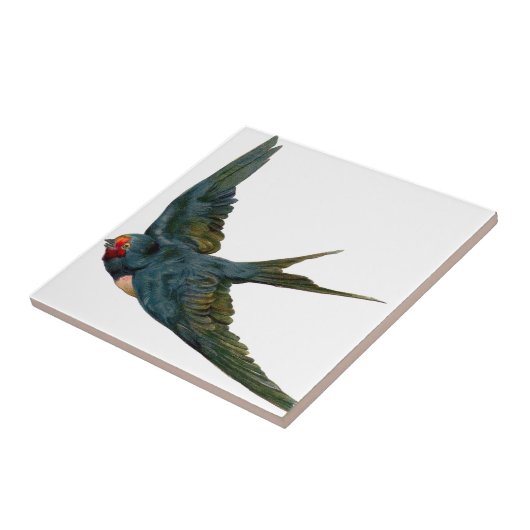 Swallow タイル (側面)