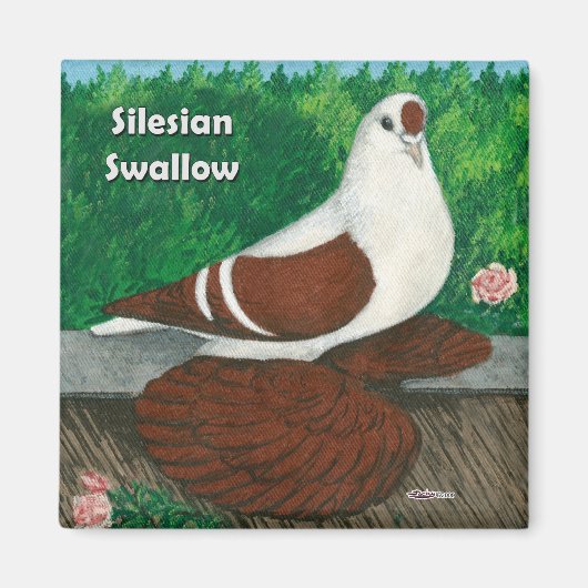 Swallow Pigon：シレジアン マグネット (正面)
