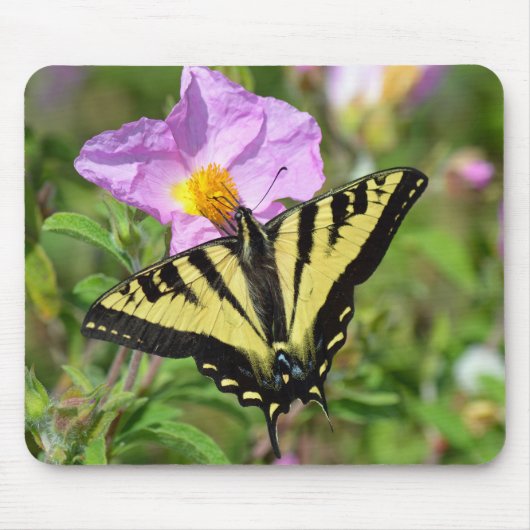 Swallowtail butterfly マウスパッド (正面)