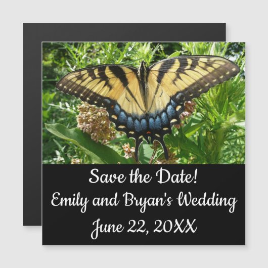 Swallowtail Butterfly II at Shenandoah (正面/裏面)