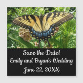 Swallowtail Butterfly II at Shenandoah (正面)