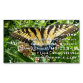 Swallowtail Butterfly II at Shenandoah マグネット名刺 (正面)