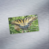 Swallowtail Butterfly II at Shenandoah マグネット名刺 (インサイチュ)