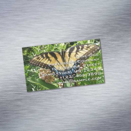 Swallowtail Butterfly II at Shenandoah マグネット名刺 (インサイチュ)