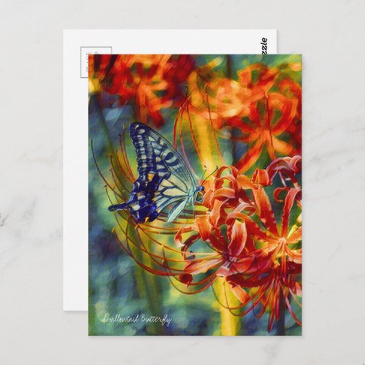 Swallowtail Butterfly：Postcard ポストカード (正面/裏面)