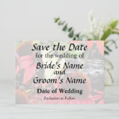 Swallowtail on Red Coneflower セーブザデート (スタンド正面)