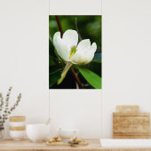 Swamp Magnoliaポスター ポスター (キッチン)