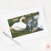 Swanおよびcygnet Rectangleスタンプ 長方形シール (封筒)