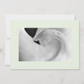 swanエレガント招待状5x7結婚for s. 招待状 (裏面)