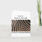 SWANベビー発表 招待状 (裏面)