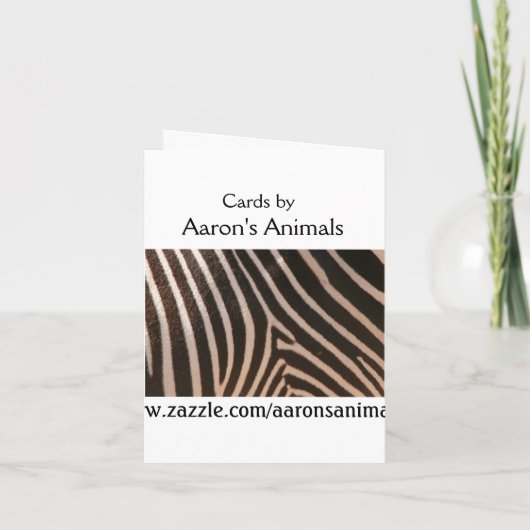 SWANベビー発表 招待状 (裏面)