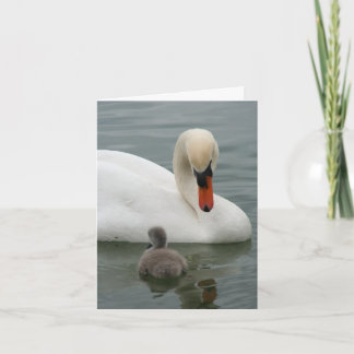 SWANベビー発表 招待状