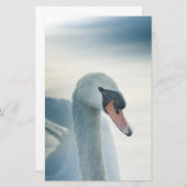 Swan自然写真のミュート 便箋 (正面/裏面)