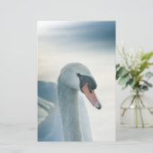 Swan自然写真のミュート 便箋 (スタンド正面)