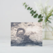 Swan自然写真 ポストカード (スタンド正面)