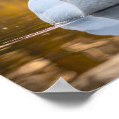 swan ポスター (角)