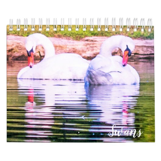 Swan Calendar カレンダー (カバー)