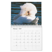 Swan Calendar カレンダー (2月 2027)