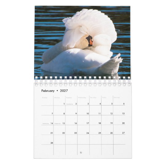 Swan Calendar カレンダー (2月 2027)